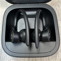 Beats by Dr. Dre Powerbeats Pro Wireless Earphones Black, A2453 A2454